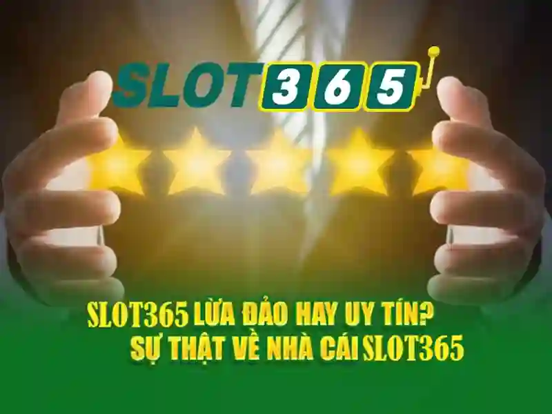 Lý do phổ biến để chơi Slot365