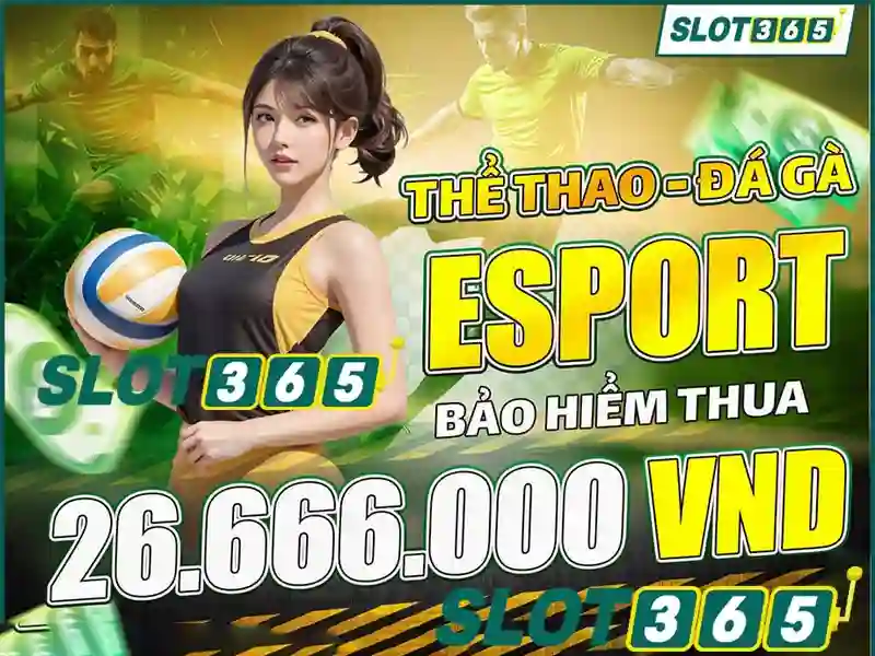 Lợi ích của Slot365