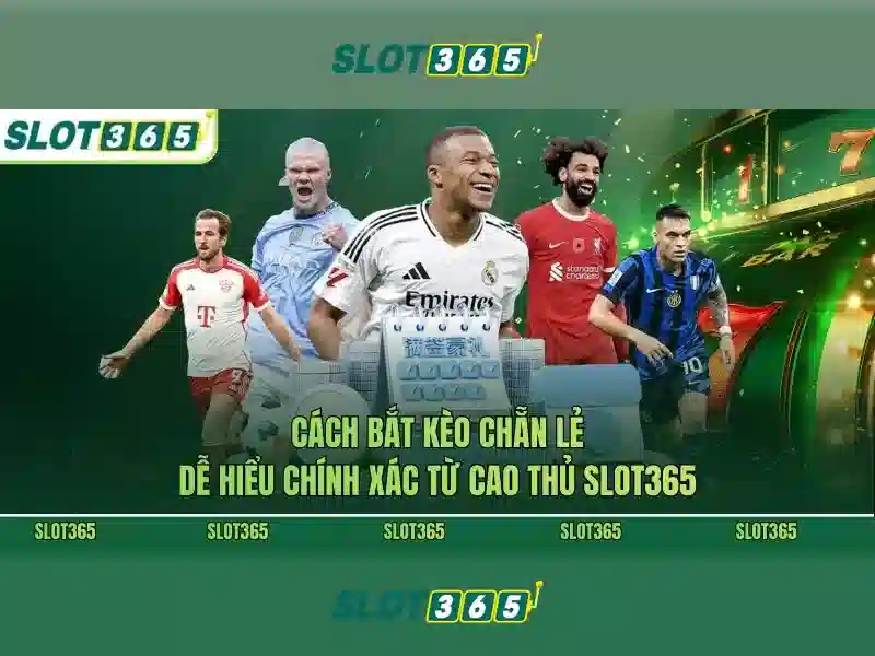 Lời kết