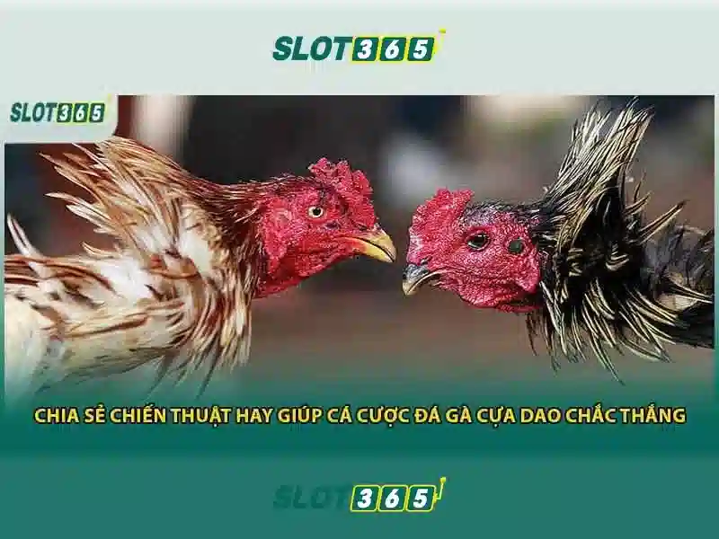 Giao diện người dùng thân thiện và tối ưu trên di động