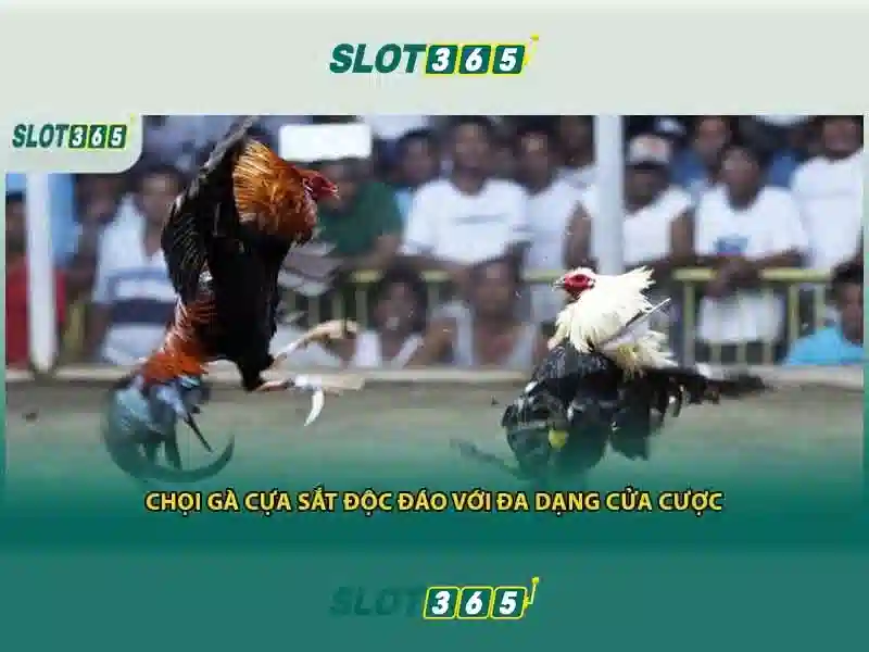 Trải nghiệm người dùng và phản hồi cộng đồng