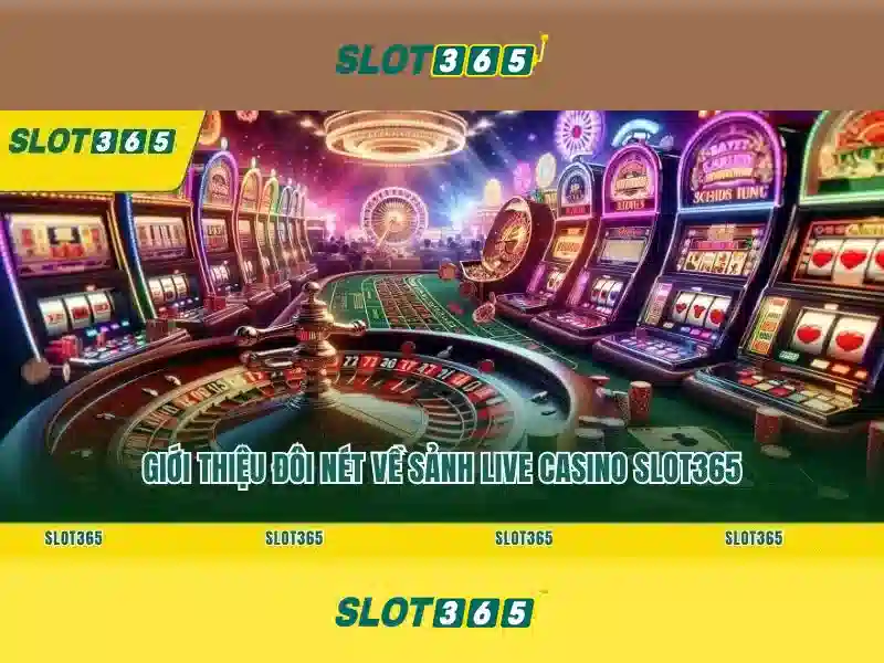 Slot365: Đánh giá tổng quan nền tảng chơi slot trực tuyến
