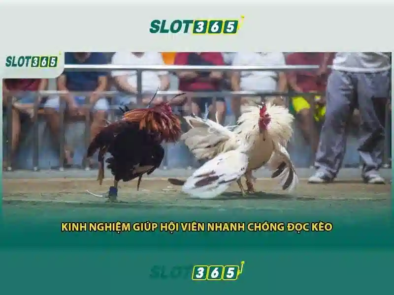 An toàn và thanh toán