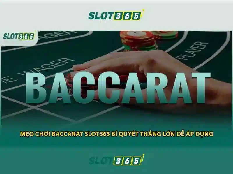 Slot365 - Trải nghiệm slot và casino trực tuyến
