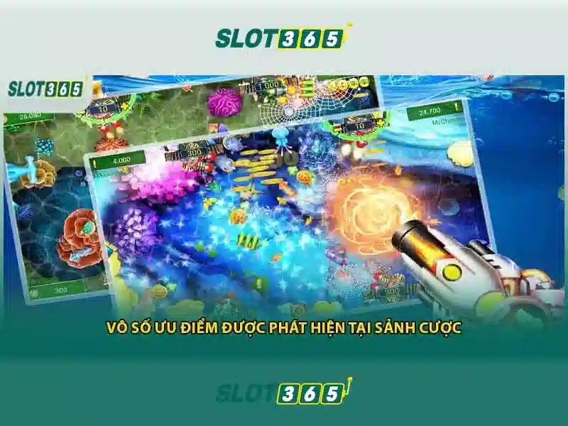 Giao diện và trải nghiệm người dùng
