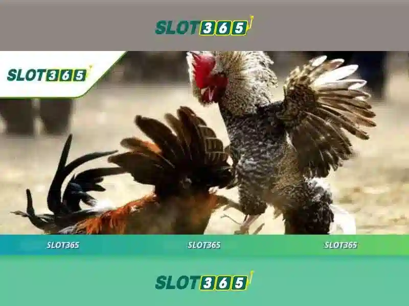 Slot365 là gì và tại sao trở nên phổ biến