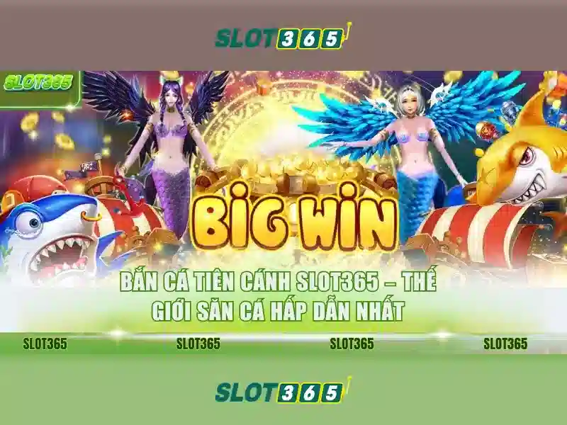 Slot365: Tổng quan về nền tảng slot trực tuyến