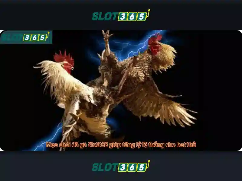 So sanh 5x5 nha cai doi thu voi Slot365