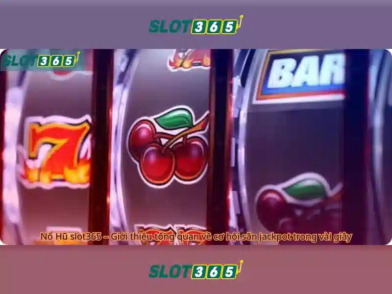 Slot365 là gì? Tổng quan về nền tảng slot trực tuyến