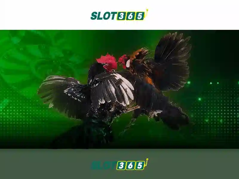 Slot365: Đánh giá chi tiết