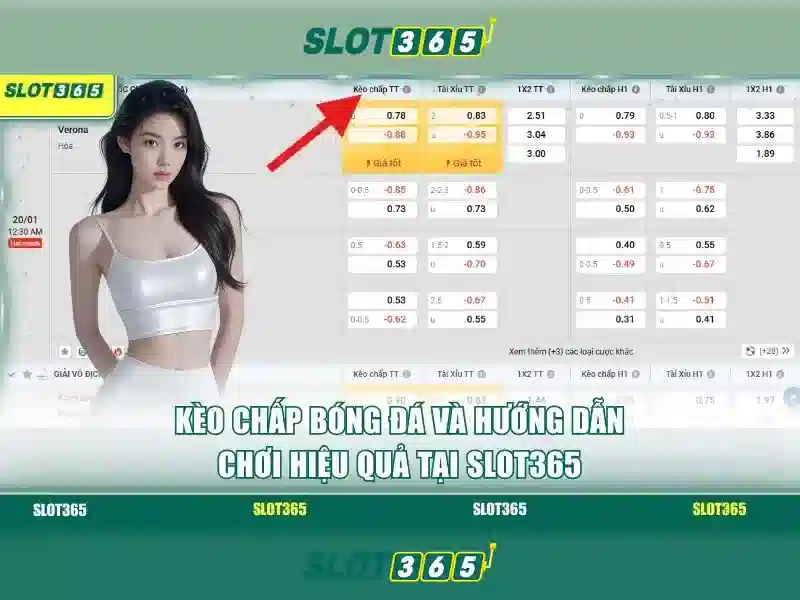 Slot365 – Trải nghiệm chơi slot đỉnh cao