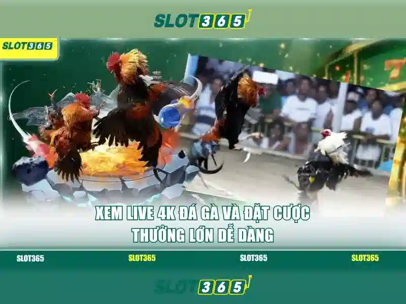 Slot365 - Nền tảng slot trực tuyến hàng đầu