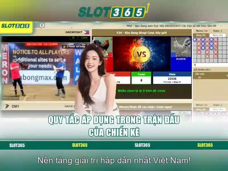 Trải nghiệm người dùng và giao diện trực quan