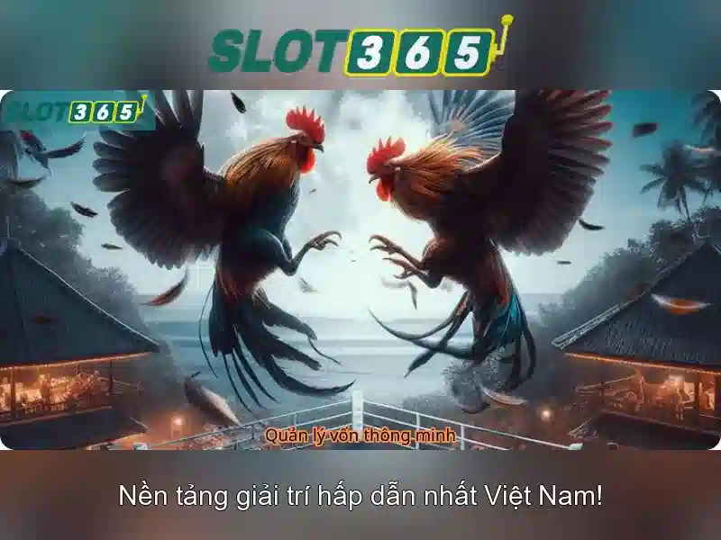 'Giao diện và trải nghiệm người dùng'