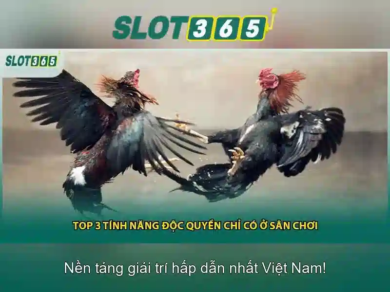 Slot365 - Đánh giá nền tảng slot trực tuyến đáng tin cậy