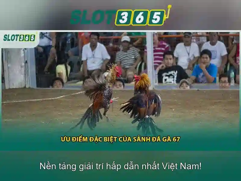 Giao diện người dùng và trải nghiệm chơi