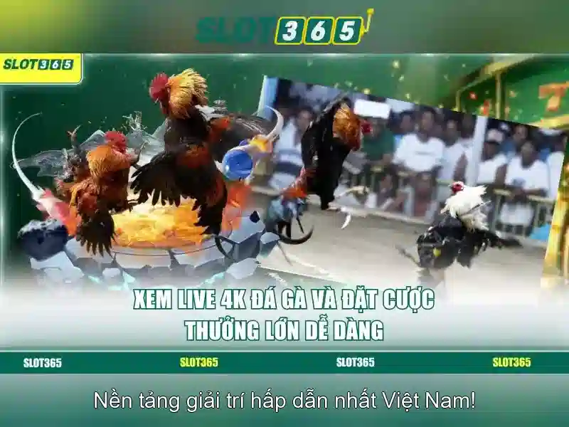 Khuyến mãi và chương trình thưởng