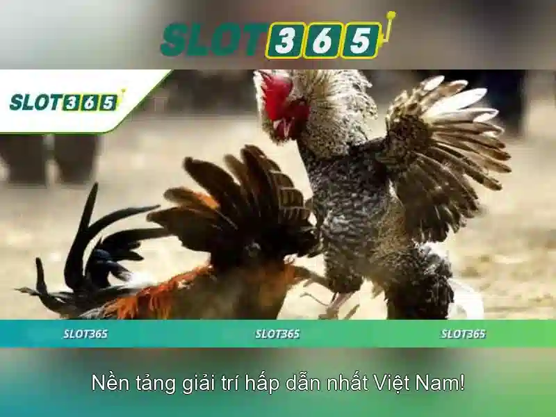 slot365 ios – Trải nghiệm Slot365 miễn phí và tin cậy
