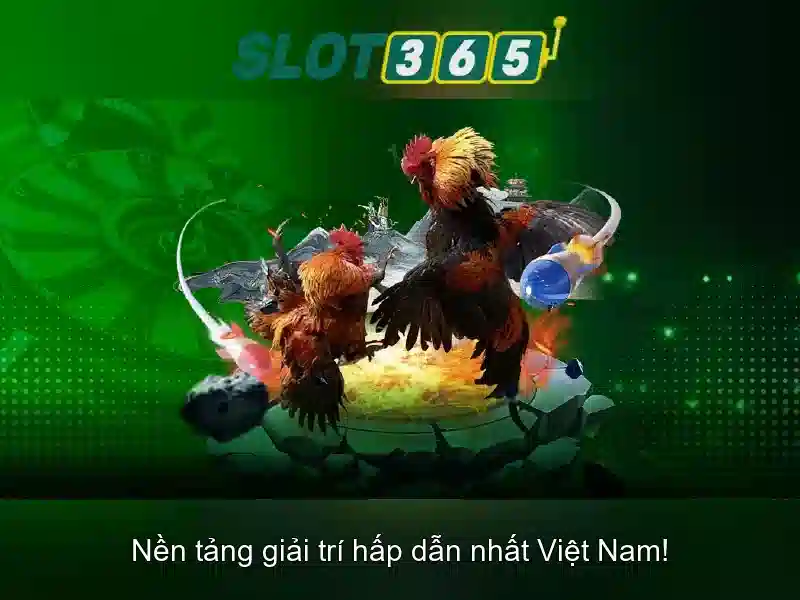 Khuyến mãi và chương trình thưởng