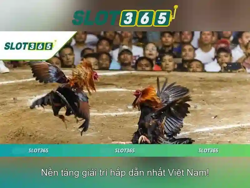 Slot365: Nền tảng slot trực tuyến độc đáo và an toàn