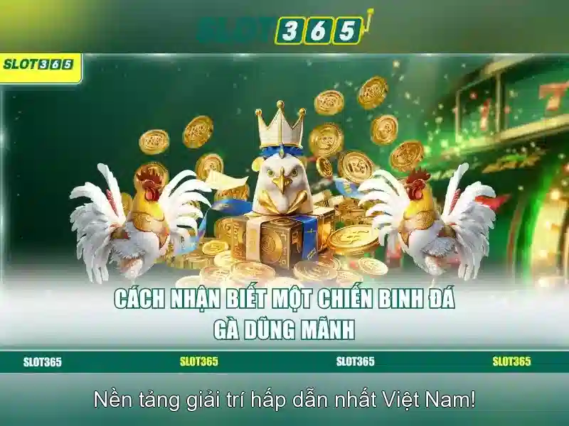 Slot365 - Kinh nghiệm chơi và đánh giá nền tảng đánh bạc trực tuyến