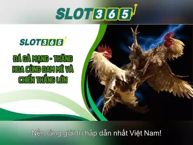 Giới thiệu về Slot365