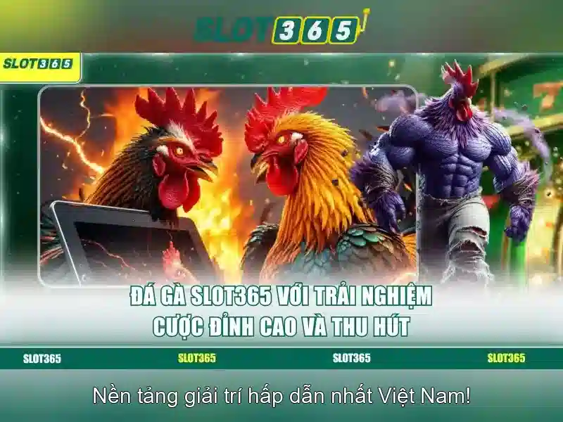 Slot365: Đánh giá tổng quan về casino slot trực tuyến