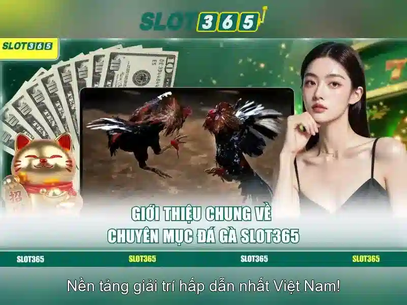 Slot365: Đánh giá và trải nghiệm