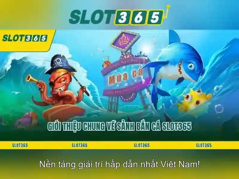 Khuyến mãi và chương trình thưởng