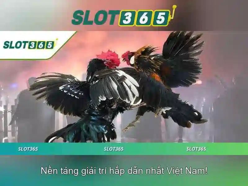Slot365: Khám phá nền tảng đánh bạc trực tuyến hàng đầu