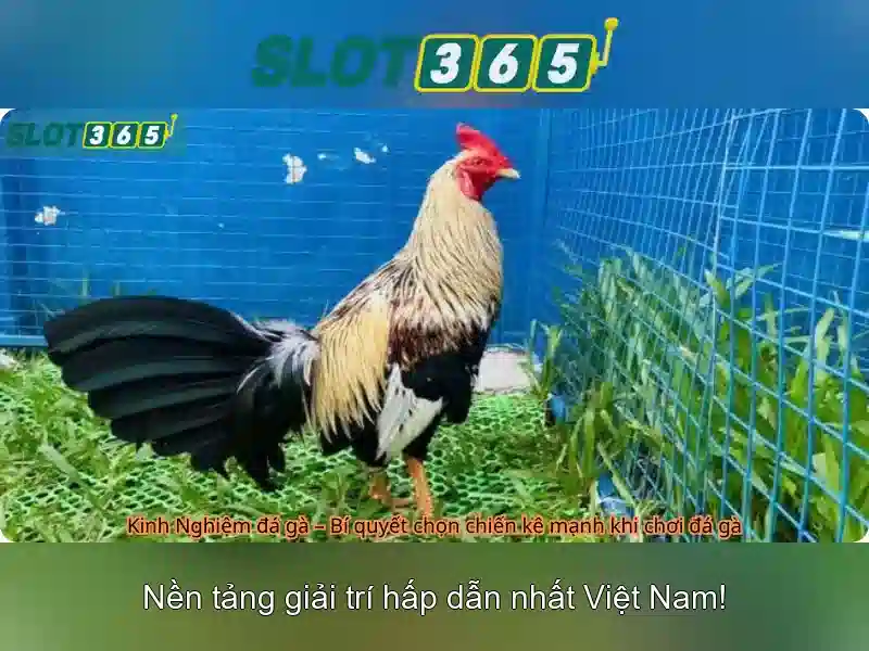 An toàn và thanh toán
