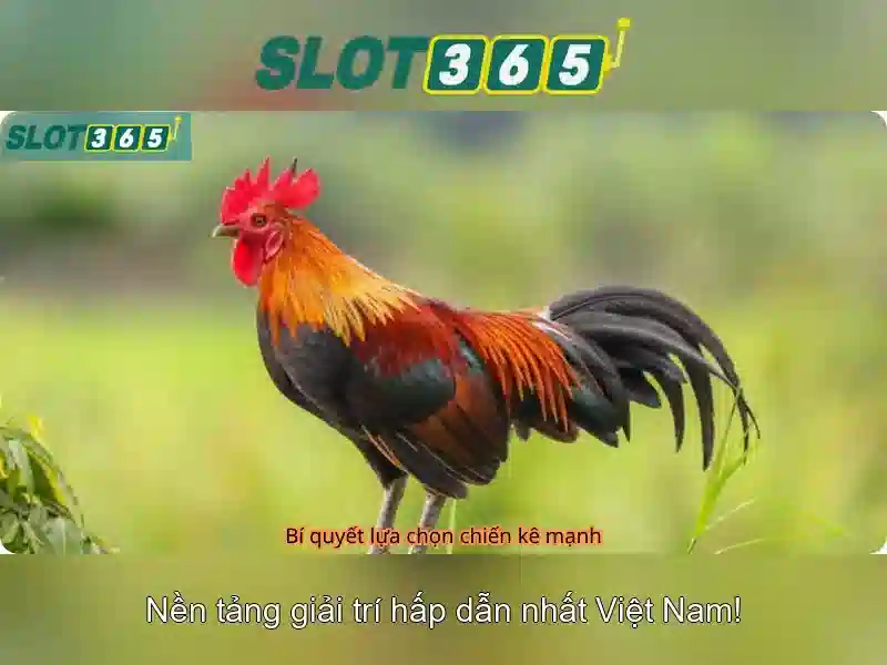 Slot365: An toàn và bảo mật