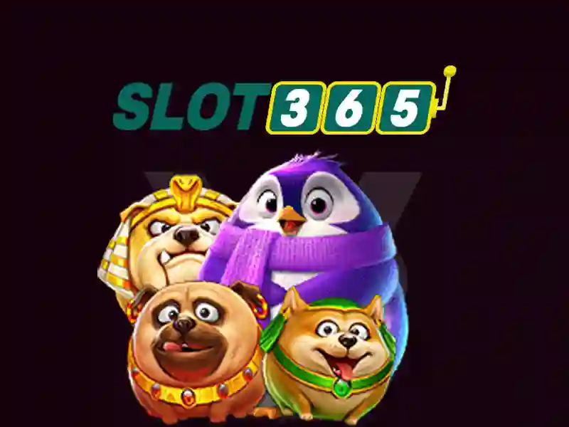 Slot365 là gì? Khám phá nền tảng slot trực tuyến