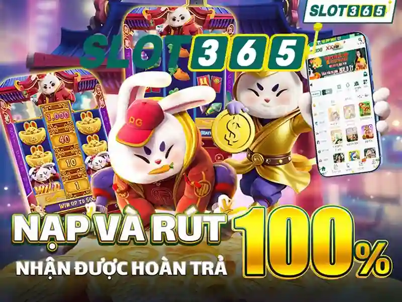 Các bonus và chương trình khuyến mãi